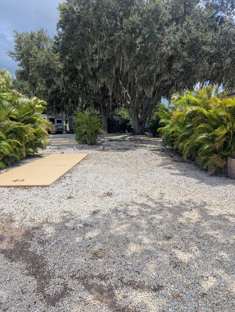 rv site facing the site .webp