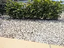 rv site from the patio-passengers side.webp
